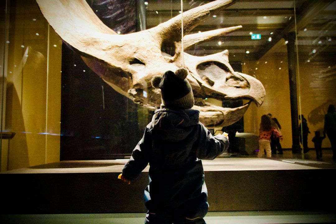 Niño observando un cráneo de dinosaurio en un museo, imagen de cabecera para una guía de libros infantiles sobre dinosaurios